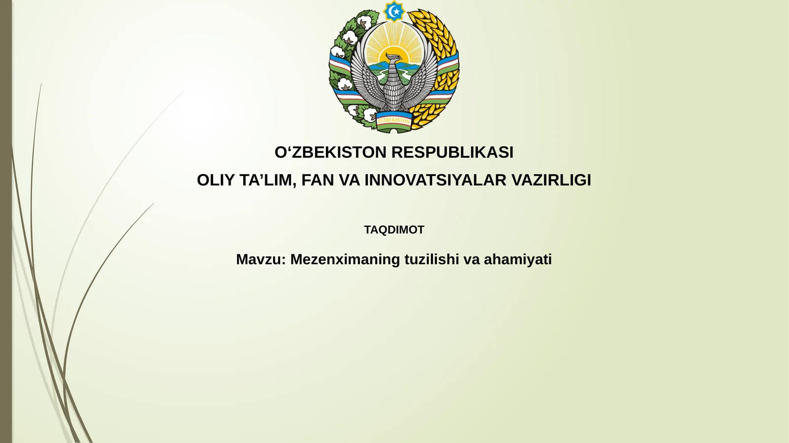 Mezenxima: ta'rifi, kelib chiqishi va embrional rivojlanishdagi o‘rni